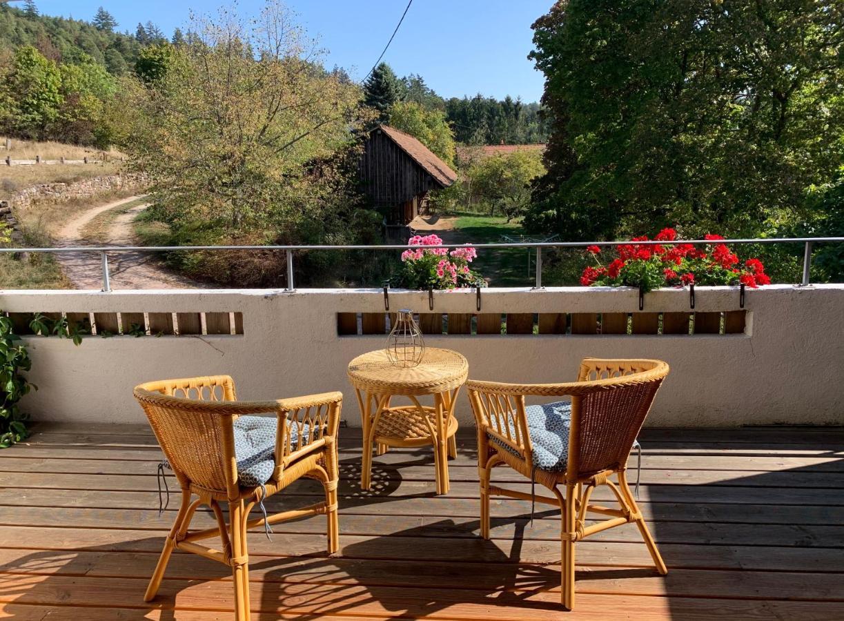 Le Manoir Des Sens - Foret De Bergheim Bagian luar foto